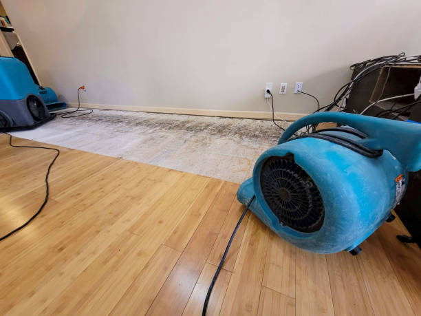 Professional Structural Drying technician working in Dresser, WI